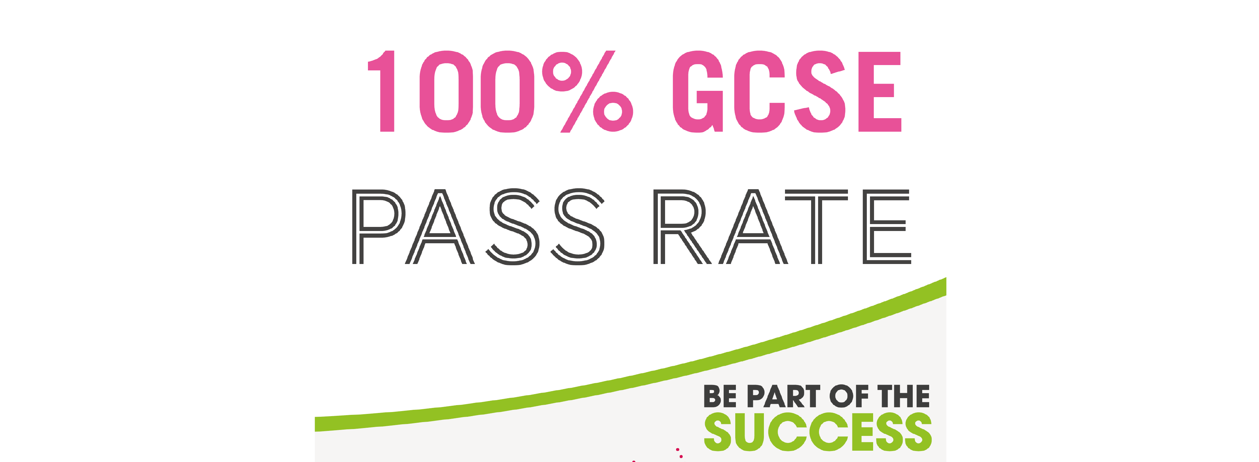 GCSE 100% Pass Rate Website Square