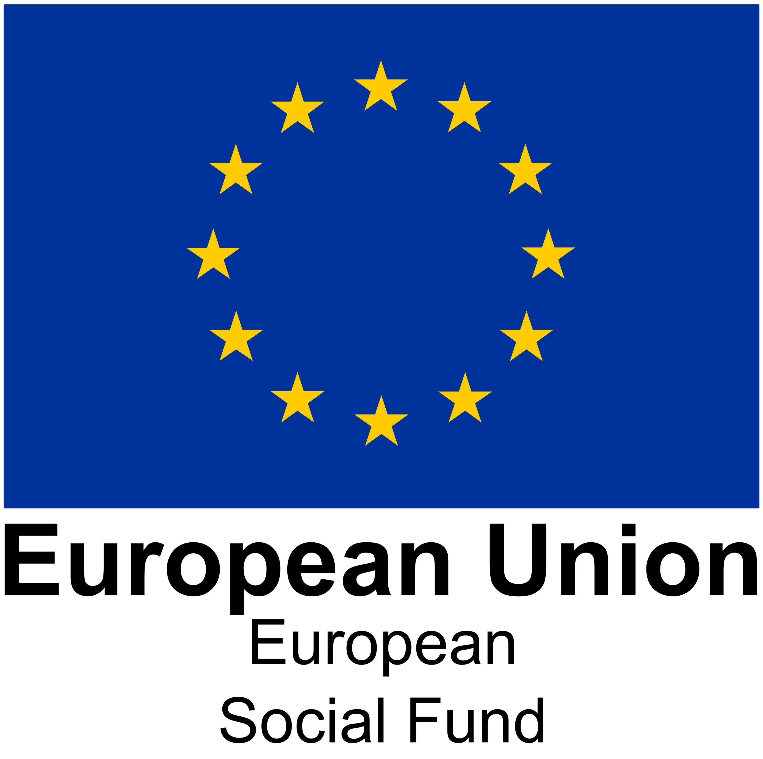 European Social Fund Logo Portrait