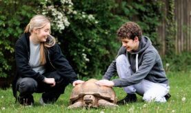 Two Boston College Animal Studies Learners stroking Thor the Giant Tortoise